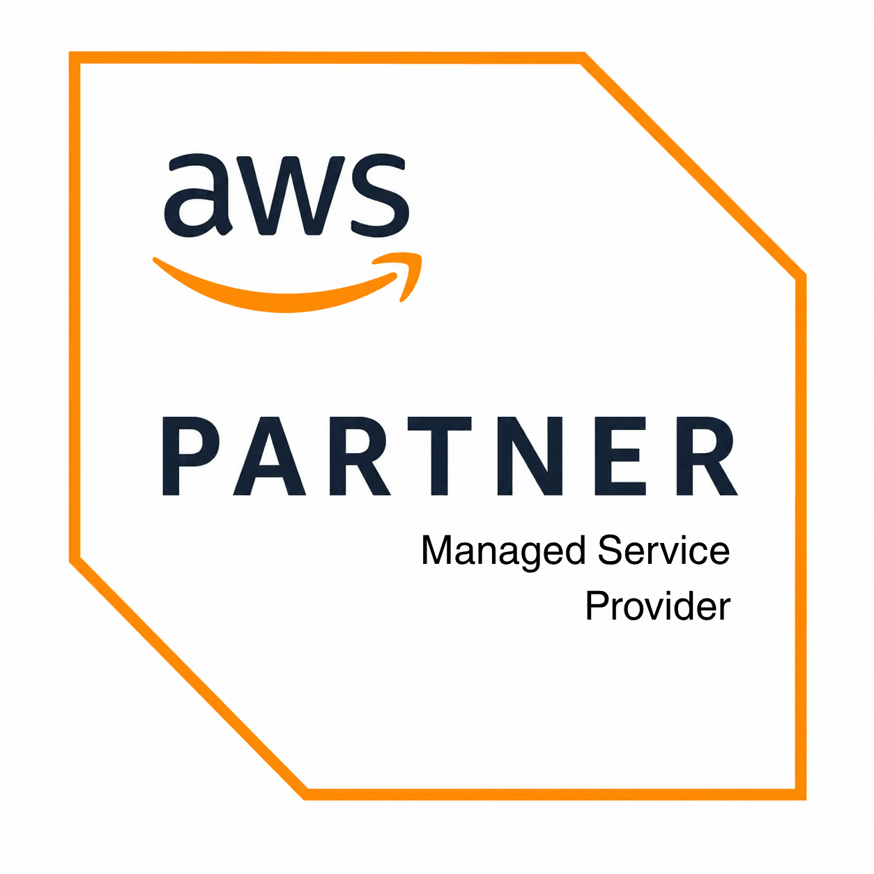 AWS Service Delivery Programs badge