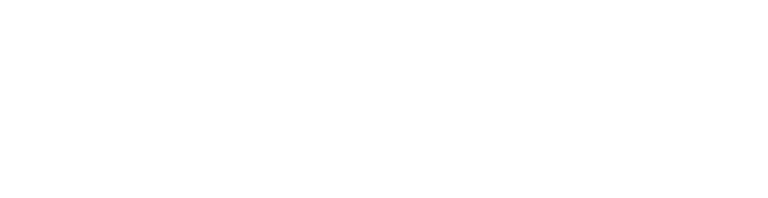 Toyow
